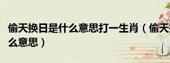 偷天换日是什么意思打一生肖（偷天换日是什么意思）