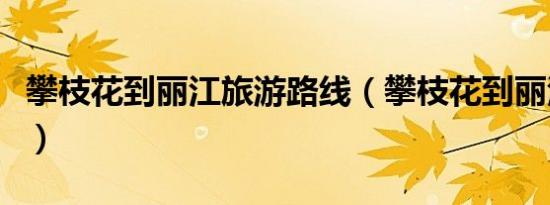攀枝花到丽江旅游路线（攀枝花到丽江要多久）