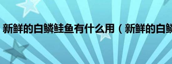 新鲜的白鳞鲑鱼有什么用（新鲜的白鳞鲑鱼）