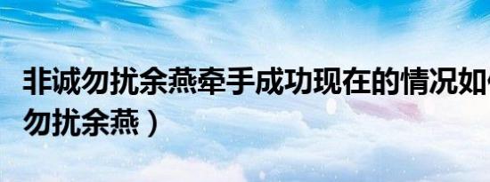 非诚勿扰余燕牵手成功现在的情况如何（非诚勿扰余燕）
