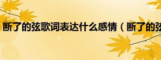 断了的弦歌词表达什么感情（断了的弦歌词）