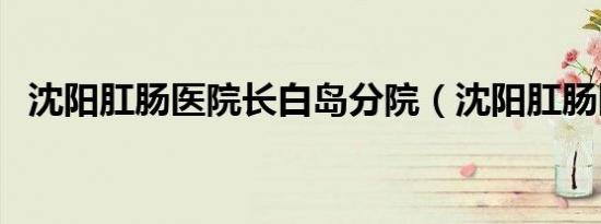 沈阳肛肠医院长白岛分院（沈阳肛肠医院）