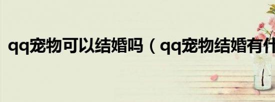 qq宠物可以结婚吗（qq宠物结婚有什么用）