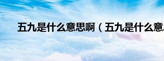 五九是什么意思啊（五九是什么意思）