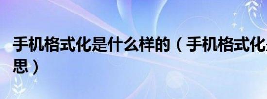 手机格式化是什么样的（手机格式化是什么意思）