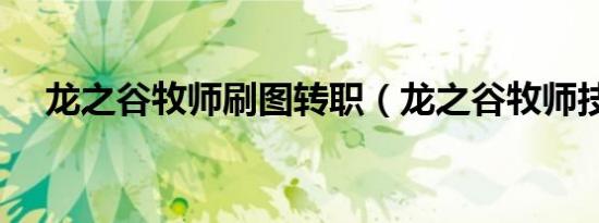 龙之谷牧师刷图转职（龙之谷牧师技能）