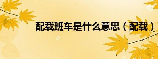 配载班车是什么意思（配载）
