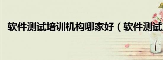 软件测试培训机构哪家好（软件测试原理）