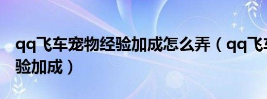 qq飞车宠物经验加成怎么弄（qq飞车宠物经验加成）
