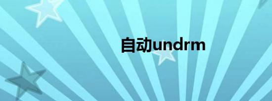自动undrm