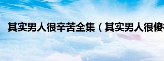 其实男人很辛苦全集（其实男人很傻很傻）