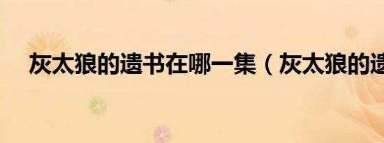 灰太狼的遗书在哪一集（灰太狼的遗书）