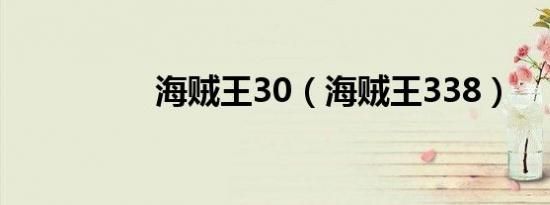 海贼王30（海贼王338）