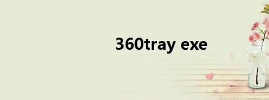 360tray exe