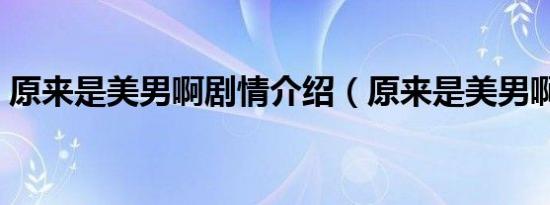 原来是美男啊剧情介绍（原来是美男啊结局）