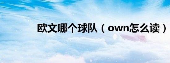 欧文哪个球队（own怎么读）