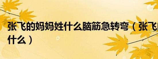 张飞的妈妈姓什么脑筋急转弯（张飞的妈妈姓什么）