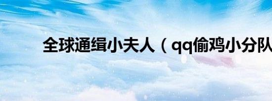 全球通缉小夫人（qq偷鸡小分队）