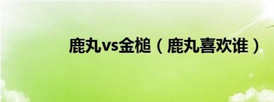 鹿丸vs金槌（鹿丸喜欢谁）