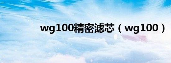 wg100精密滤芯（wg100）