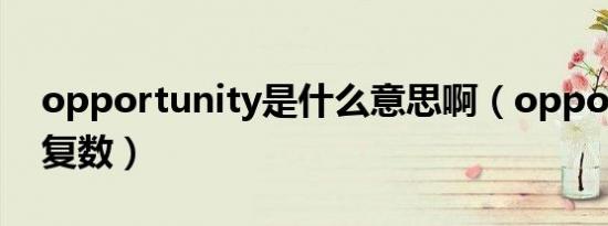 opportunity是什么意思啊（opportunity复数）