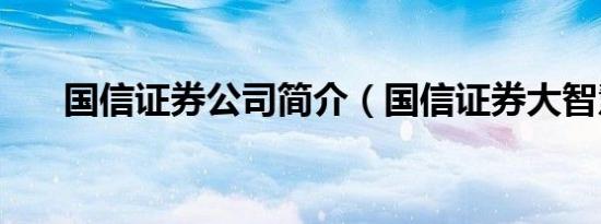 国信证券公司简介（国信证券大智慧）