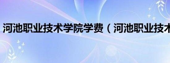 河池职业技术学院学费（河池职业技术学院）