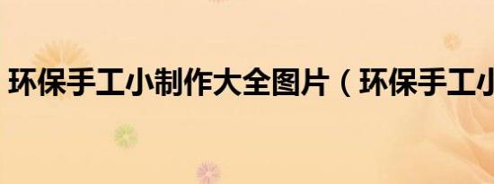 环保手工小制作大全图片（环保手工小制作）