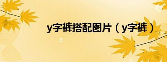 y字裤搭配图片（y字裤）