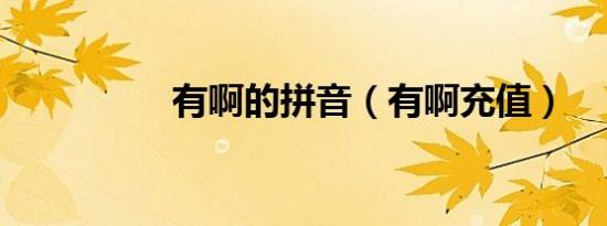 有啊的拼音（有啊充值）