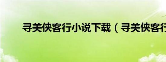 寻美侠客行小说下载（寻美侠客行）