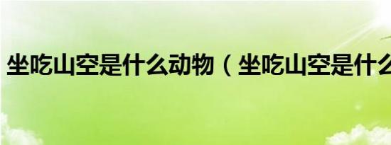 坐吃山空是什么动物（坐吃山空是什么生肖）