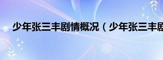 少年张三丰剧情概况（少年张三丰剧情）