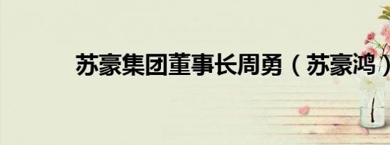 苏豪集团董事长周勇（苏豪鸿）
