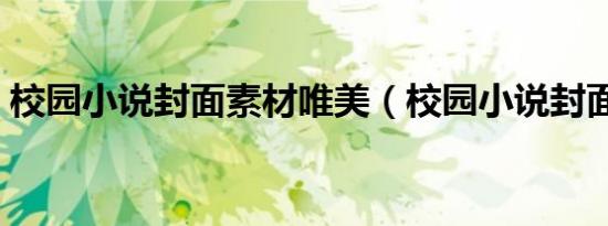 校园小说封面素材唯美（校园小说封面素材）