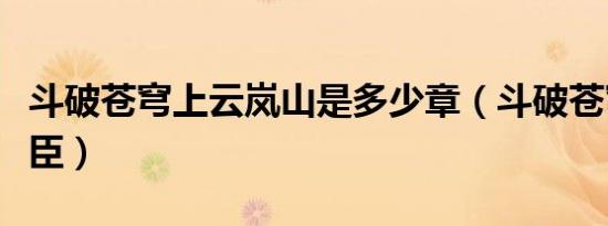 斗破苍穹上云岚山是多少章（斗破苍穹上译忠臣）