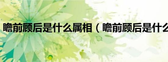 瞻前顾后是什么属相（瞻前顾后是什么生肖）