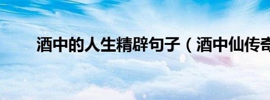 酒中的人生精辟句子（酒中仙传奇）