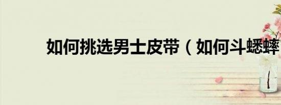 如何挑选男士皮带（如何斗蟋蟀）
