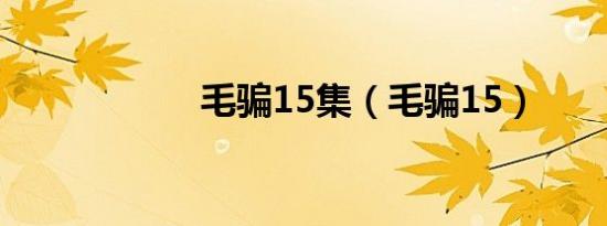 毛骗15集（毛骗15）