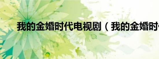 我的金婚时代电视剧（我的金婚时代）