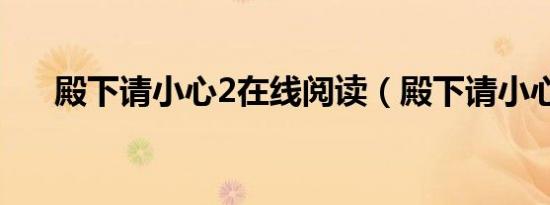 殿下请小心2在线阅读（殿下请小心2）
