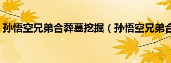 孙悟空兄弟合葬墓挖掘（孙悟空兄弟合葬墓）