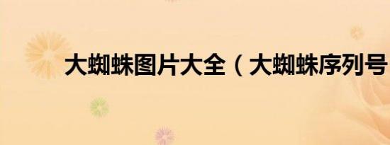大蜘蛛图片大全（大蜘蛛序列号）