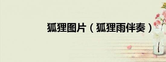 狐狸图片（狐狸雨伴奏）