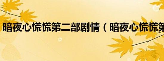 暗夜心慌慌第二部剧情（暗夜心慌慌第二部）