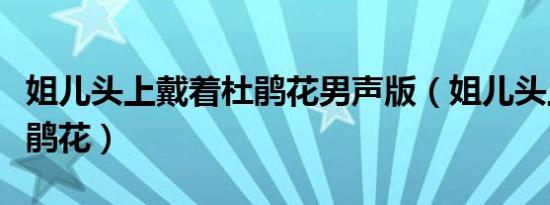 姐儿头上戴着杜鹃花男声版（姐儿头上戴着杜鹃花）