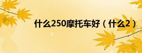 什么250摩托车好（什么2）