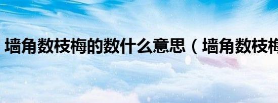 墙角数枝梅的数什么意思（墙角数枝梅全诗）