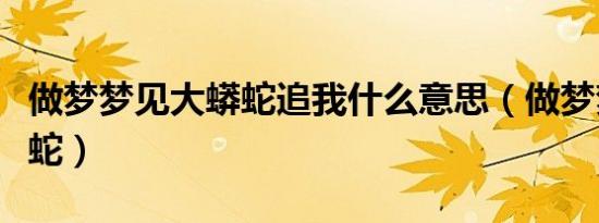 做梦梦见大蟒蛇追我什么意思（做梦梦见大蟒蛇）